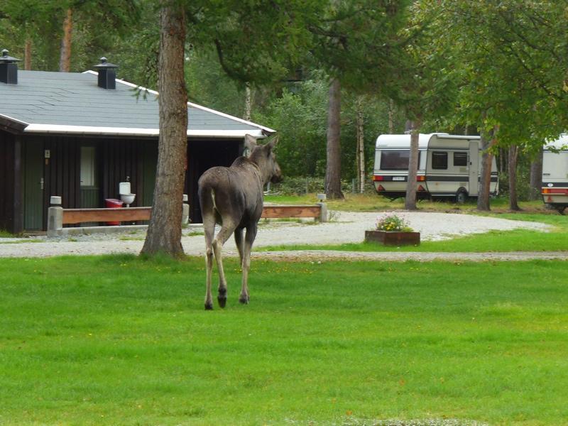Furuly Camping Nordberg Exterior foto